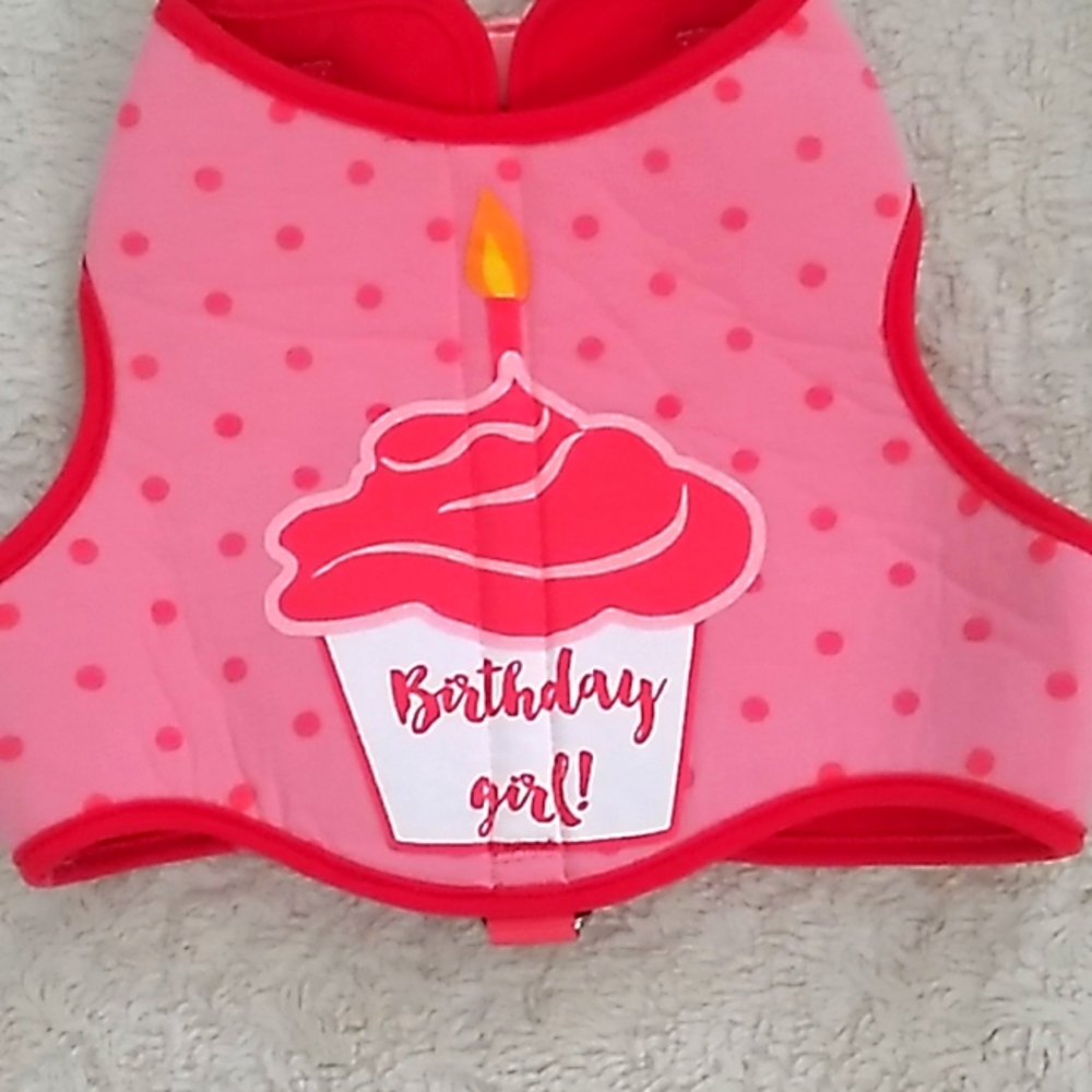 Birthday Girl harness - Picture 3 of 6